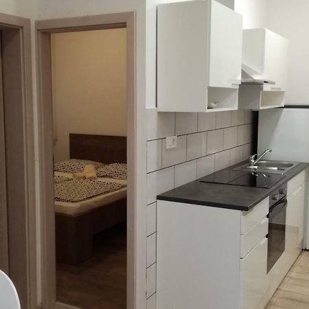 Appartma Katja Gabrovica pri Črnem Kalu Εξωτερικό φωτογραφία